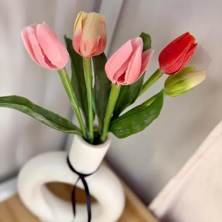 Skyline 11b - Sea View,pools & Apartman